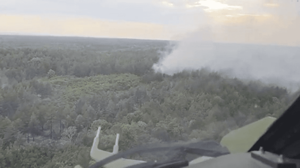 Požar u specijalnom rezervatu prirode Deliblatska peščara: U gašenju učestvuje i "Super puma" MUP-a (VIDEO)